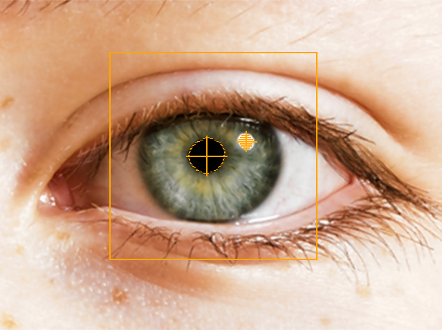 MR-kompatibles Eye-Tracking